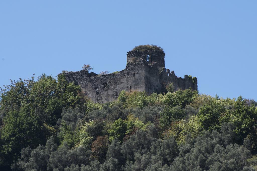 Agriturismo La Vecchia Quercia San Cipriano Picentino Bagian luar foto