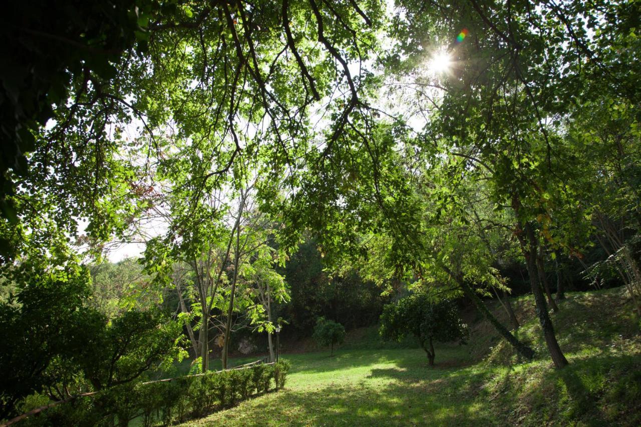Agriturismo La Vecchia Quercia San Cipriano Picentino Bagian luar foto