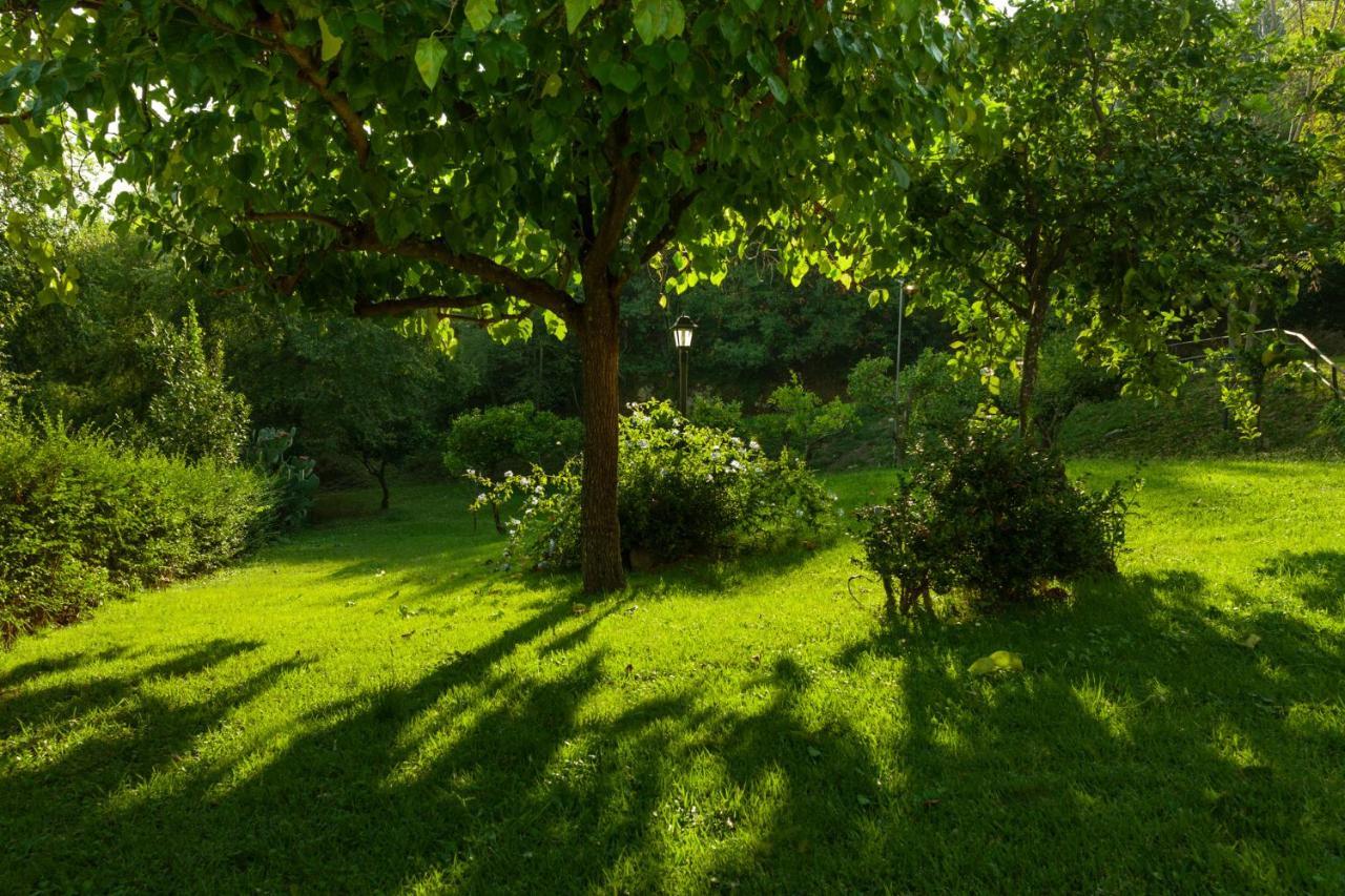 Agriturismo La Vecchia Quercia San Cipriano Picentino Bagian luar foto